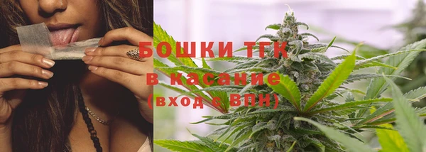 шишки Абинск