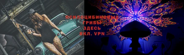прущая мука Абаза