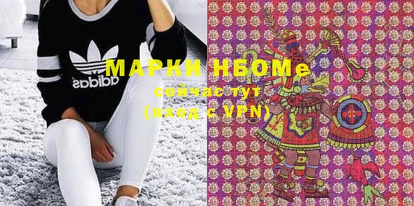 ГАЛЛЮЦИНОГЕННЫЕ ГРИБЫ Лагань