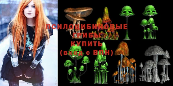 шишки Абинск
